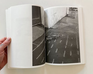 Lara Dhondt / Wandering Off