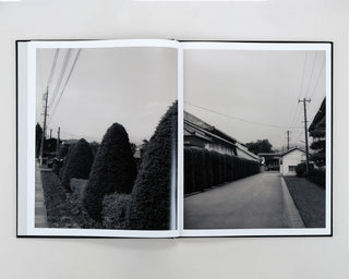 Lena C Emery / Yuka & The Forest