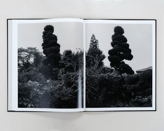 Lena C Emery / Yuka & The Forest