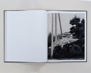 Lena C Emery / Yuka & The Forest