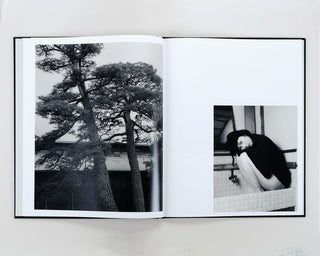 Lena C Emery / Yuka & The Forest