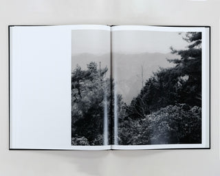 Lena C Emery / Yuka & The Forest