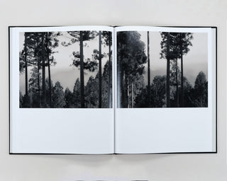 Lena C Emery / Yuka & The Forest