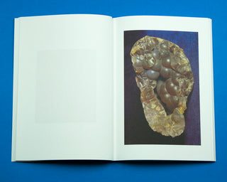 Jurgen Maelfeyt / Les Pierres