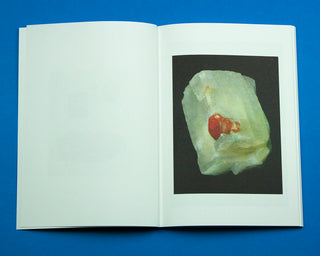 Jurgen Maelfeyt / Les Pierres