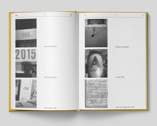 Luca Massaro / Dizionario Vol.1