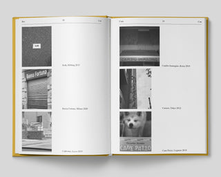 Luca Massaro / Dizionario Vol.1