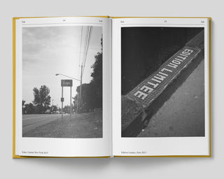 Luca Massaro / Dizionario Vol.1