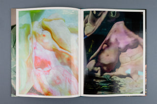 Lucile Boiron / Mise en Pièces