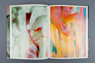 Lucile Boiron / Mise en Pièces