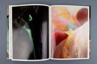 Lucile Boiron / Mise en Pièces