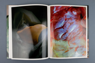 Lucile Boiron / Mise en Pièces