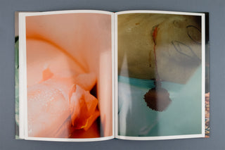 Lucile Boiron / Mise en Pièces