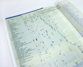 Mariken Wessels / TAKING OFF. HENRY MY NEIGHBOR