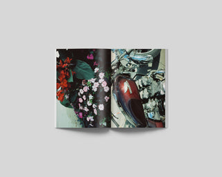 Stefan Vanthuyne / PULSAR