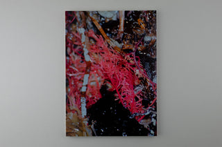 Rebekka Deubner / tempête après tempête