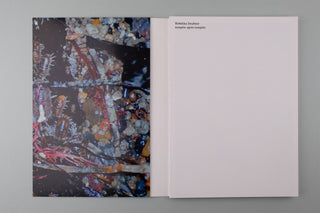 Rebekka Deubner / tempête après tempête