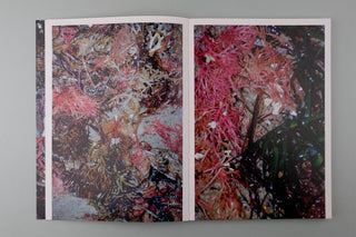 Rebekka Deubner / tempête après tempête