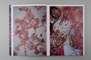 Rebekka Deubner / tempête après tempête