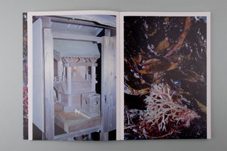 Rebekka Deubner / tempête après tempête