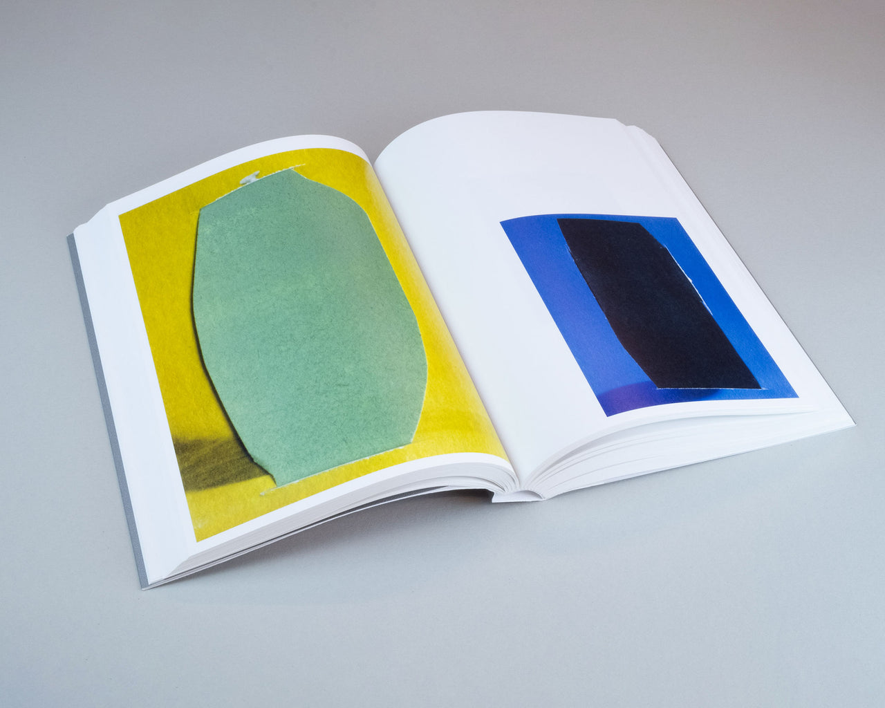 Ruth van Beek / How To Do The Flowers