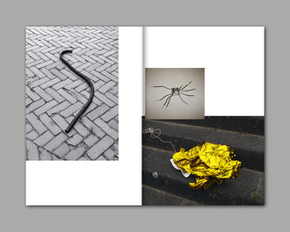 Sara Bjarland / Groundwork