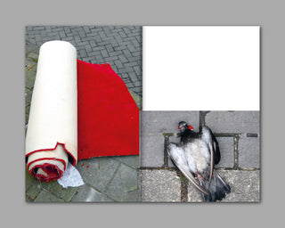 Sara Bjarland / Groundwork