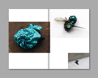 Sara Bjarland / Groundwork