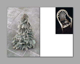 Sara Bjarland / Groundwork