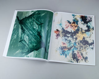 Sebastien Reuzé / Colorblind Sands