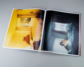 Sebastien Reuzé / Colorblind Sands