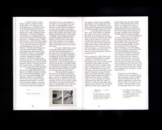 Stefan Vanthuyne / Moving Through the Space of the Picture and the Page