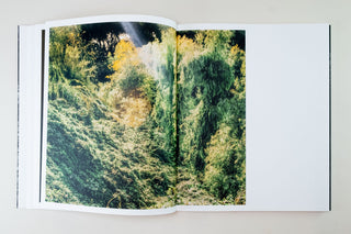 Sybren Vanoverberghe / 1099