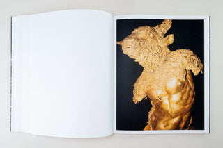 Sybren Vanoverberghe / 1099