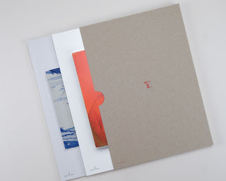 Tinus Vermeersch / Ceramics — Paintings