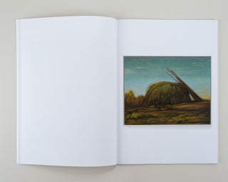 Tinus Vermeersch / Ceramics — Paintings