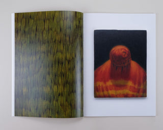 Tinus Vermeersch / Ceramics — Paintings