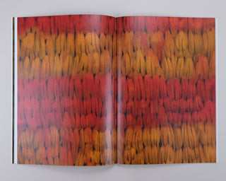 Tinus Vermeersch / Ceramics — Paintings