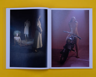 Camille Vivier / Twist