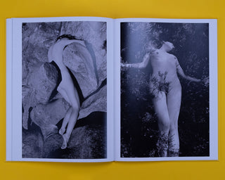 Camille Vivier / Twist