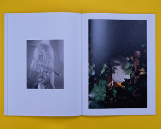 Camille Vivier / Twist