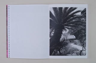 Zin Taylor / 下田市 (Shimoda) – Ambient Visions of a Dot